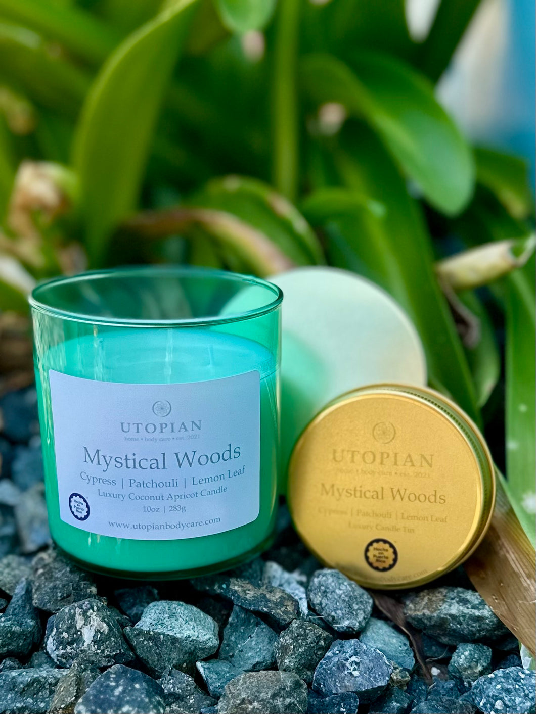 Mystical Woods Luxury Candle