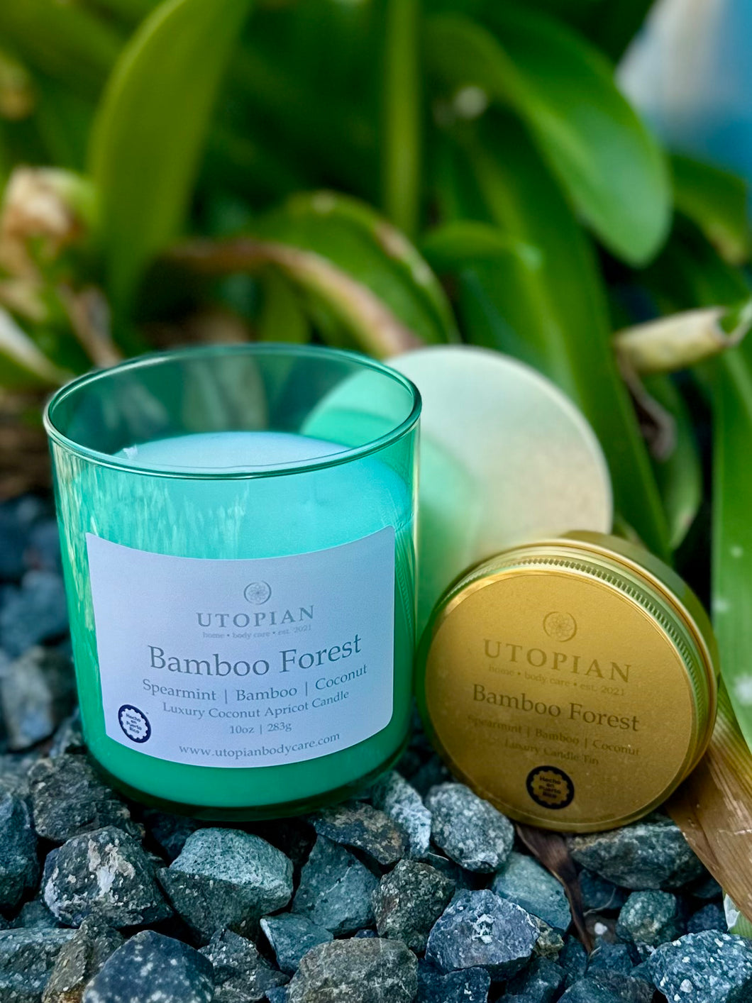 Bamboo Forest Luxury Candle